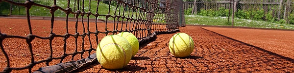 1400839347-about-tennis-wien.jpg 1400839347-about-tennis-wien.jpg